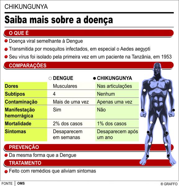 DENGUE E CHIKUNGUNYA
