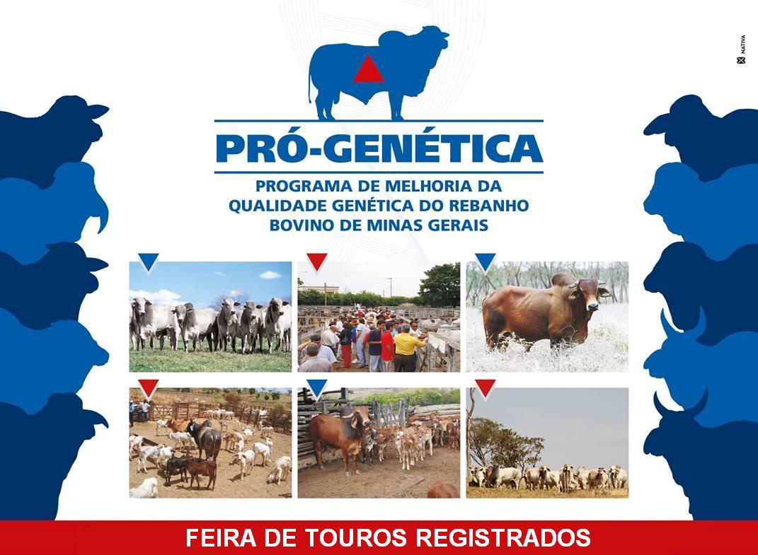 FOLDER-FEIRA-DE-TOUROS